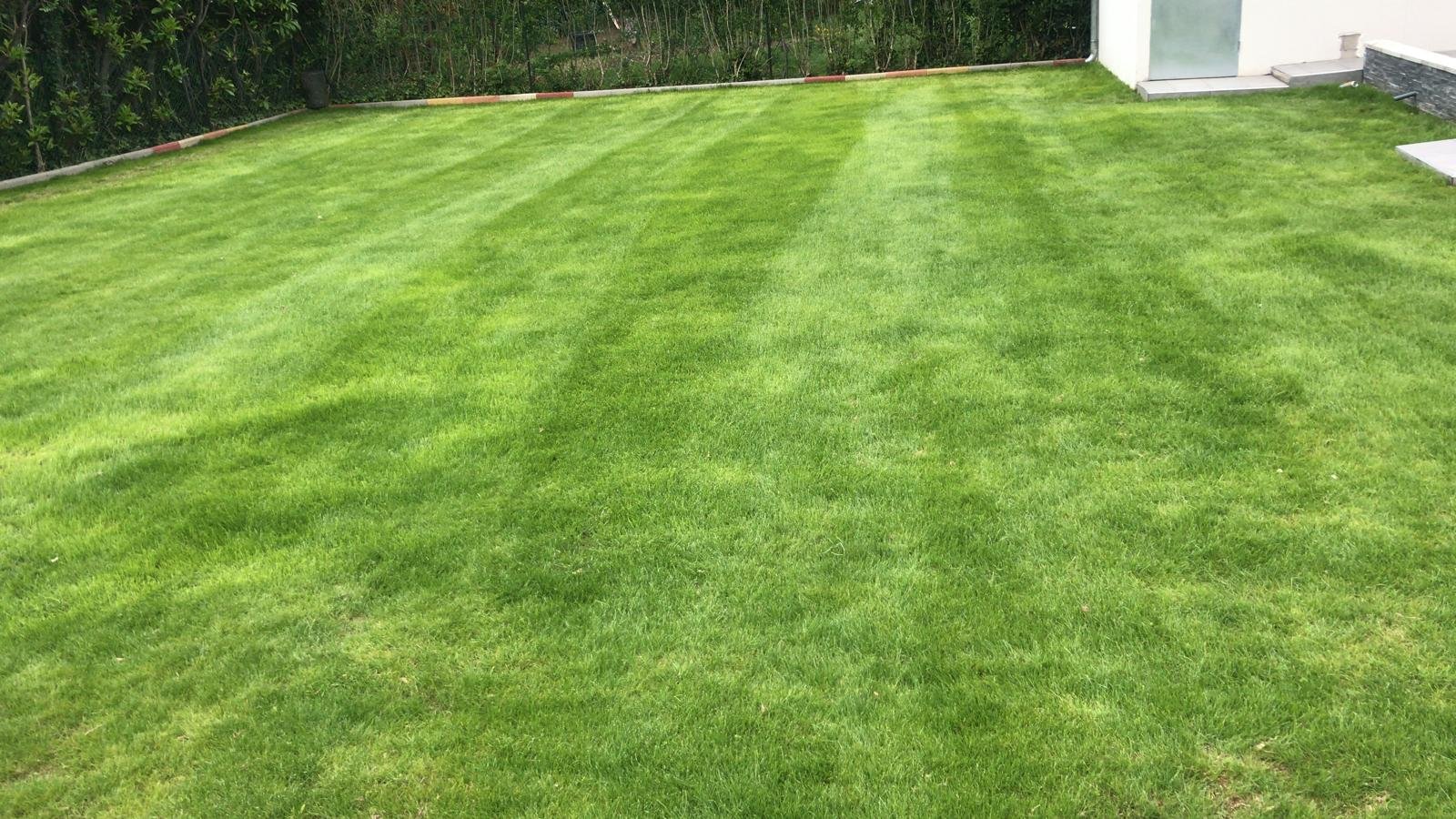 Entretien courant jardin